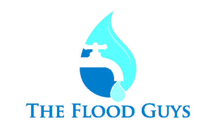 Avatar for The Flood Guys